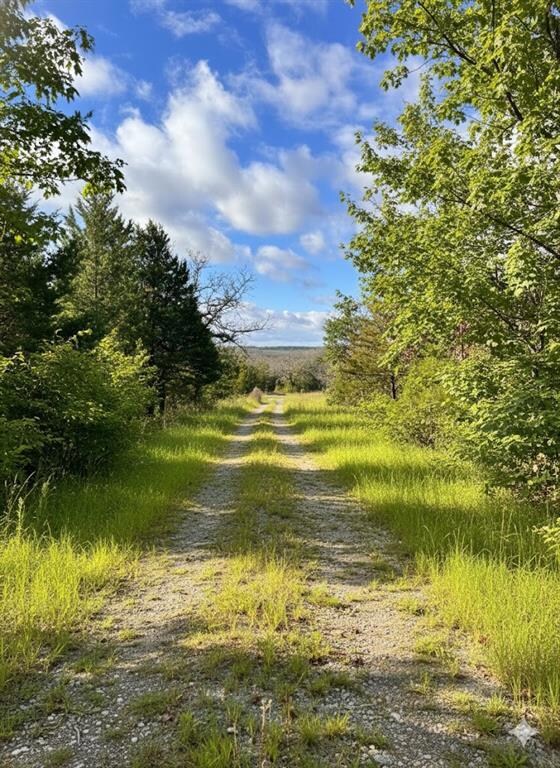 101 Perry Ln, Rattan, OK 74562 - photo 2