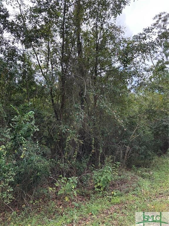 0 Ackerman Rd, Rincon, GA 31326 - photo 4