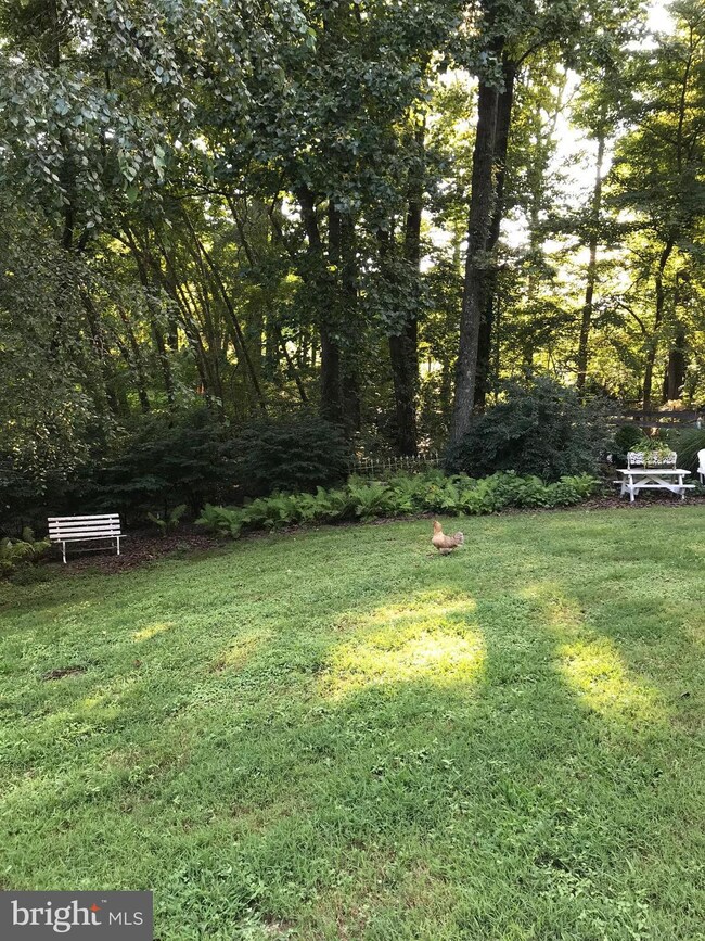 3932 Birdsville Rd, Davidsonville, MD 21035 - photo 4