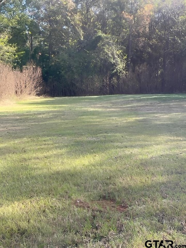 112 N Price St, Troup, TX 75789 - photo 6