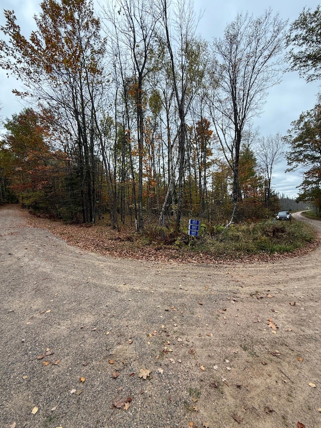 LOT 2 Birch Ln, Nashville, WI 54465 - photo 6