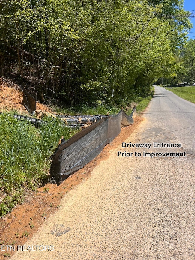 Driveway Pre_Improvement