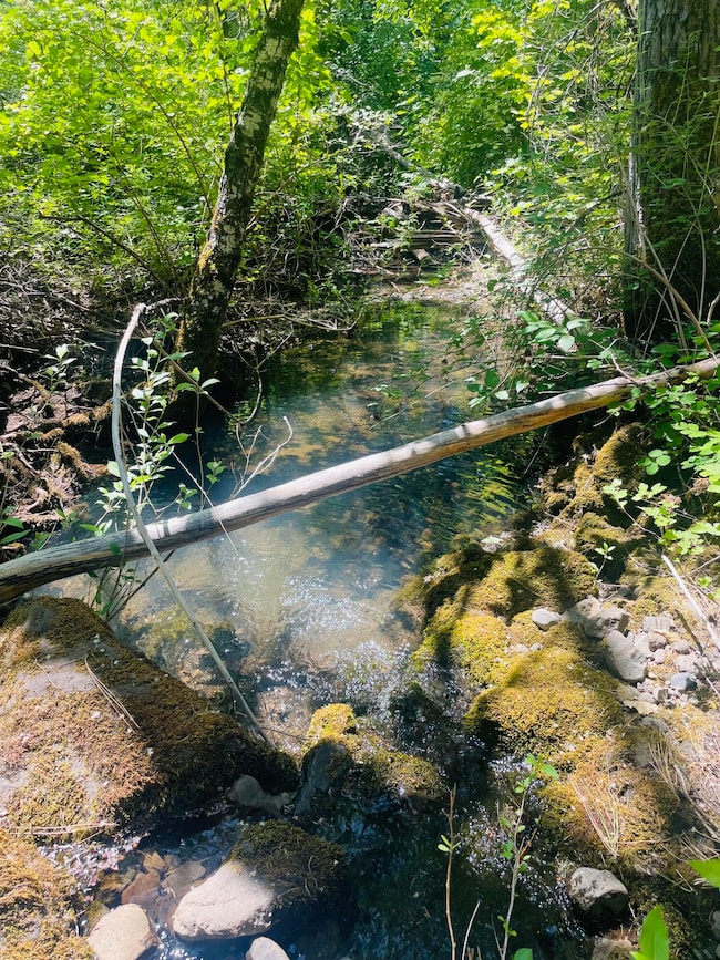 826 Ulrich Rd, Prospect, OR 97536 - photo 2