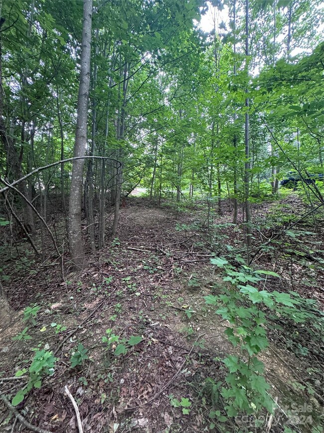 0 Holland Dr unit 18 CAR4146725, Columbus, NC 28722 - photo 2