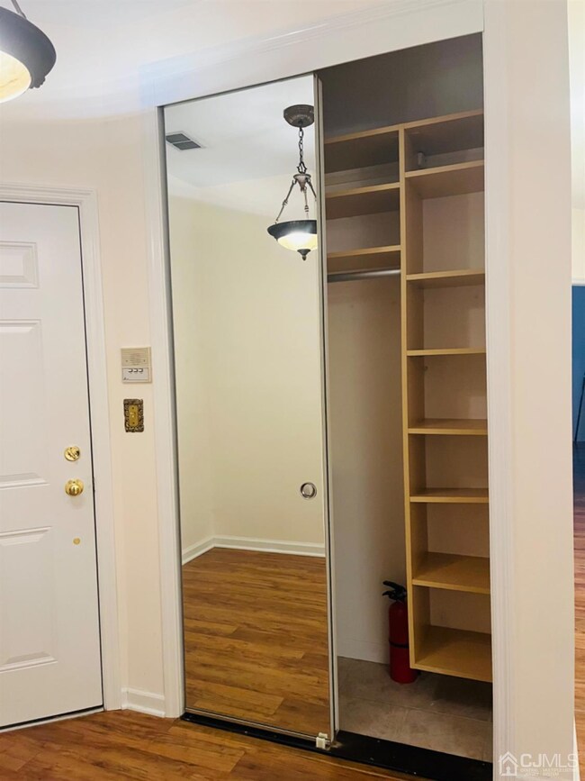 Custom California Coat Closet