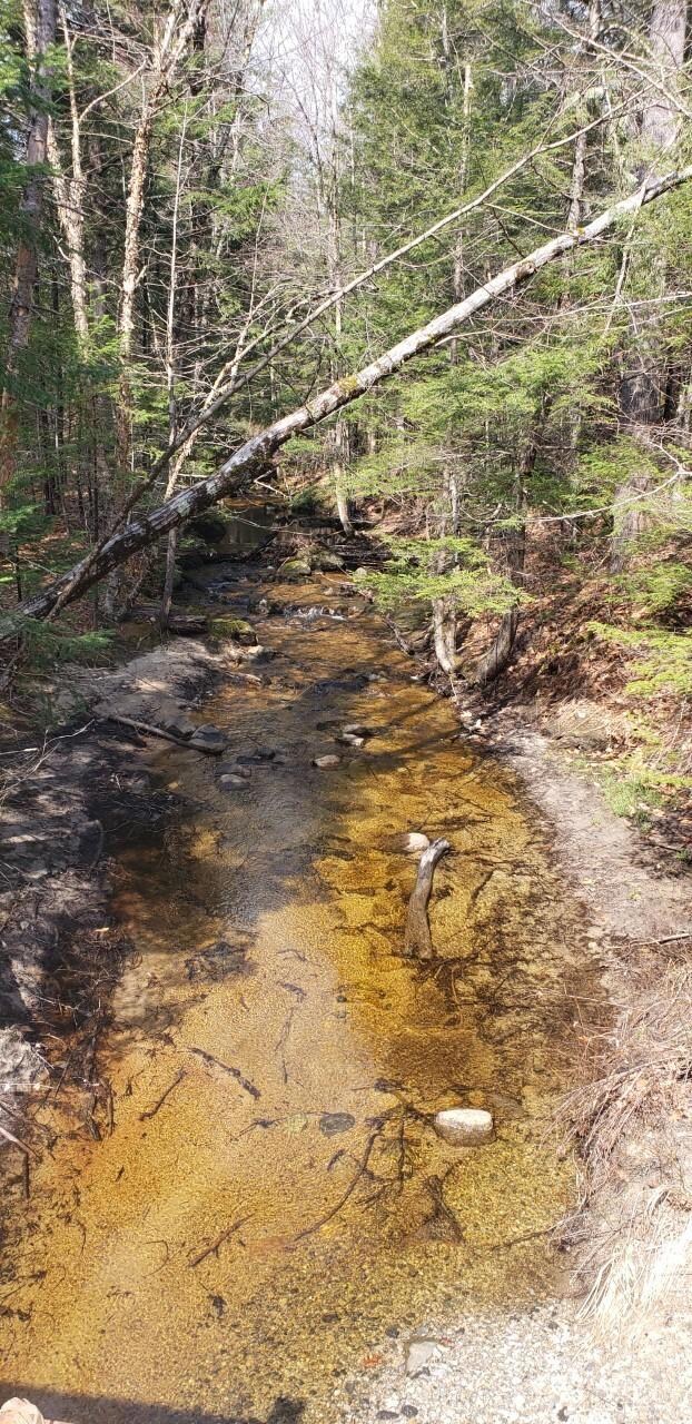 M21 L34A N Bridgton Rd, Bridgton, ME 04009 - photo 7