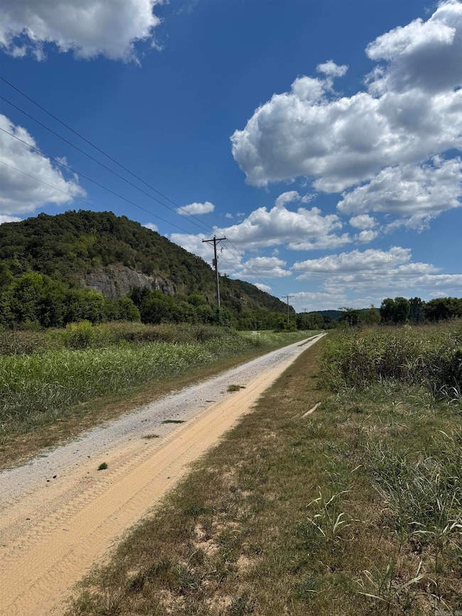 64-65 White River Run, Guion, AR 72540 - photo 3