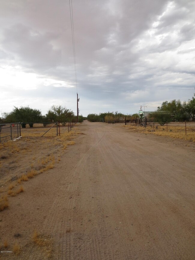 brushtrail 032