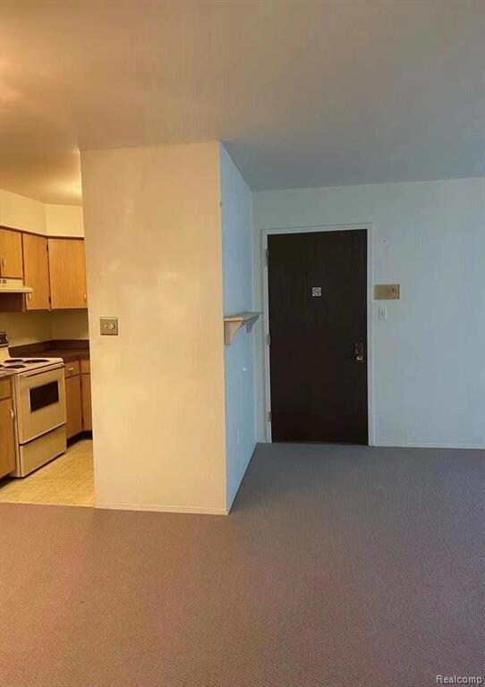 7538 Manor Cir unit 102, Westland, MI 48185 - photo 4