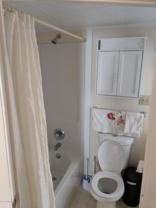 76 W Broadway, Jim Thorpe, PA 18229 - photo 4