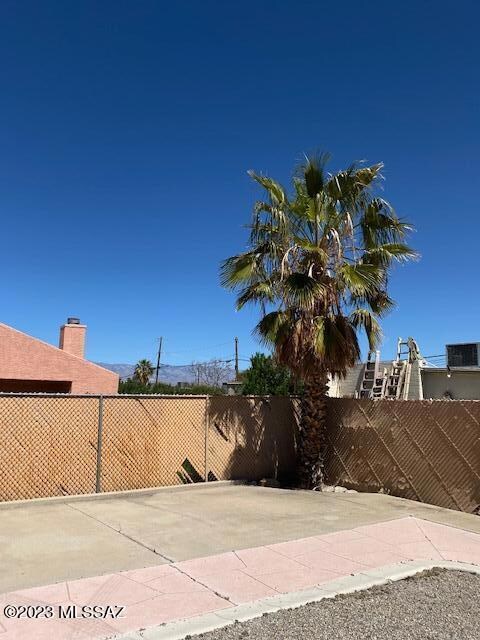 Back lot with palm trees