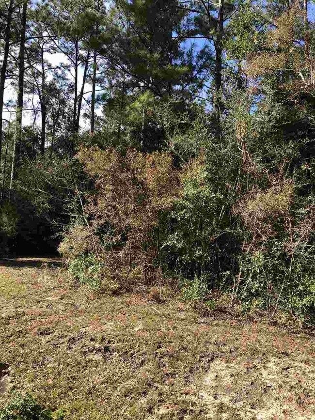 0 Magnolia Ridge unit 300029, Crawfordville, FL 32327 - photo 6