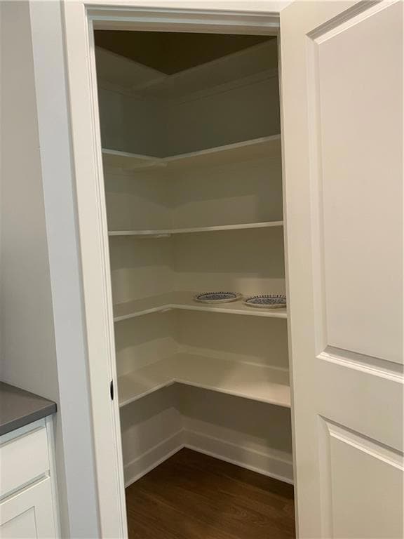 View of kitchen pantry 