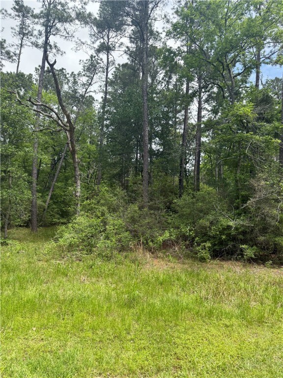 View of local wilderness