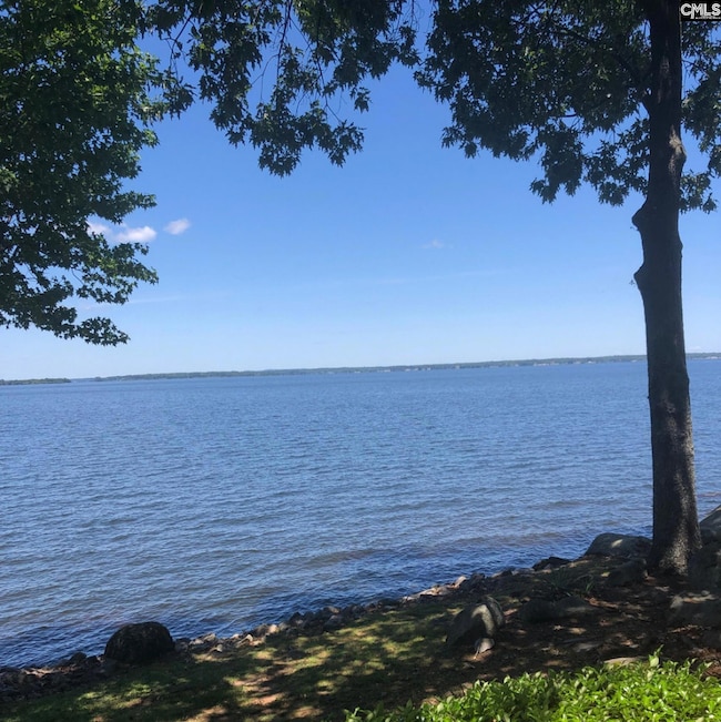 1441 Old Chapin Rd unit 212, Lexington, SC 29072 - photo 3