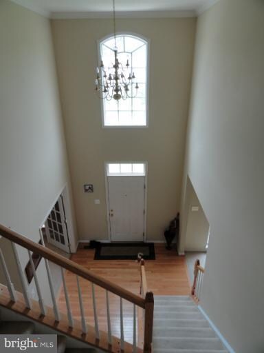 8008 Dorado Terrace, Brandywine, MD 20613 - photo 4