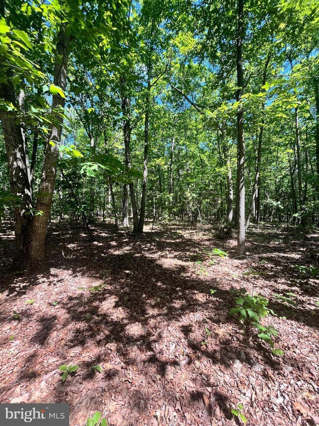 0 Elk Run Rd unit VAFQ2013556, Midland, VA 22728 - photo 7