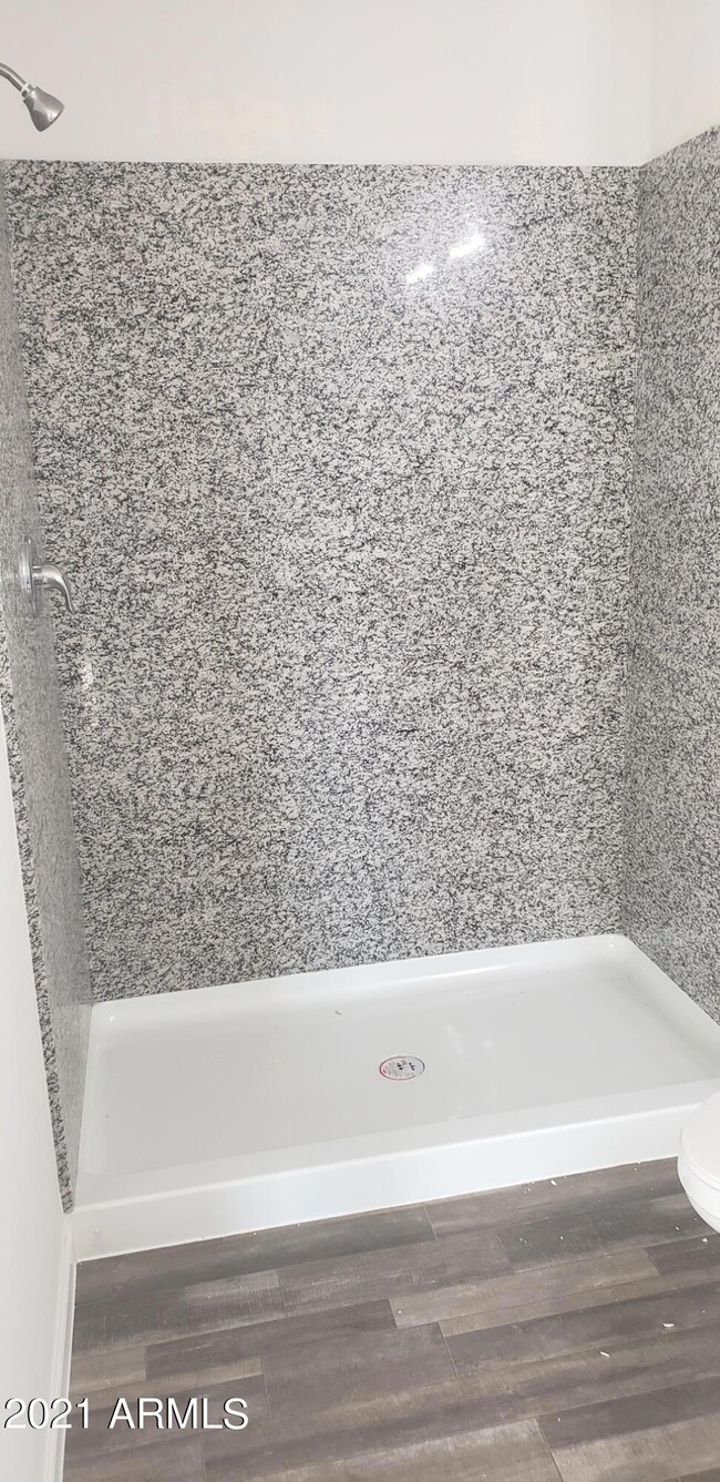 Master Shower