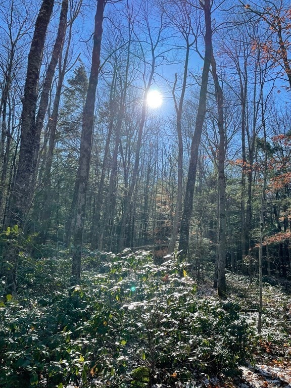 Parcel 1 Northwest Rd, Westhampton, MA 01027 - photo 3