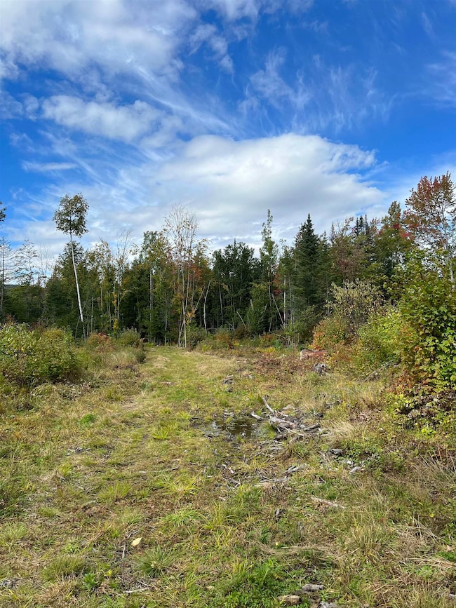 0 Evergreen Dr, Dalton, NH 03598 - photo 3