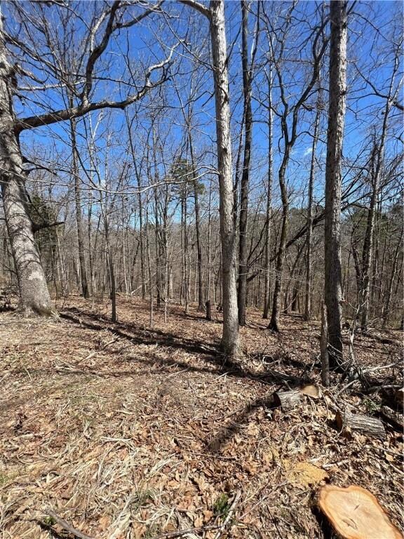 0 St Austell Dr unit 1214972, Bella Vista, AR 72714 - photo 2