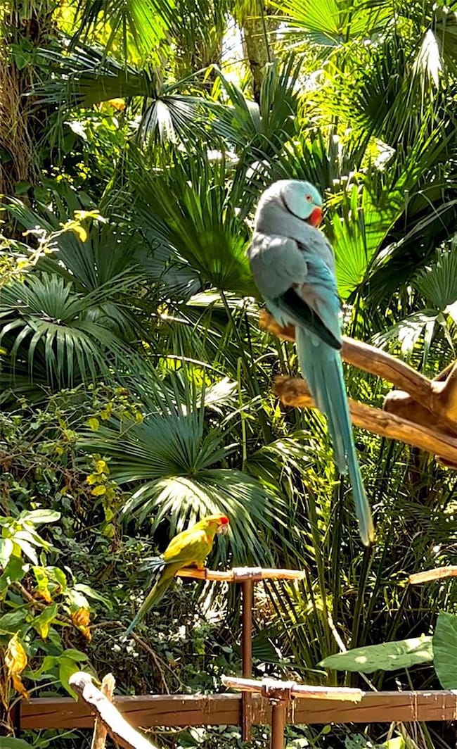 168 Rotonda Blvd E, Rotonda West, FL 33947 - photo 4