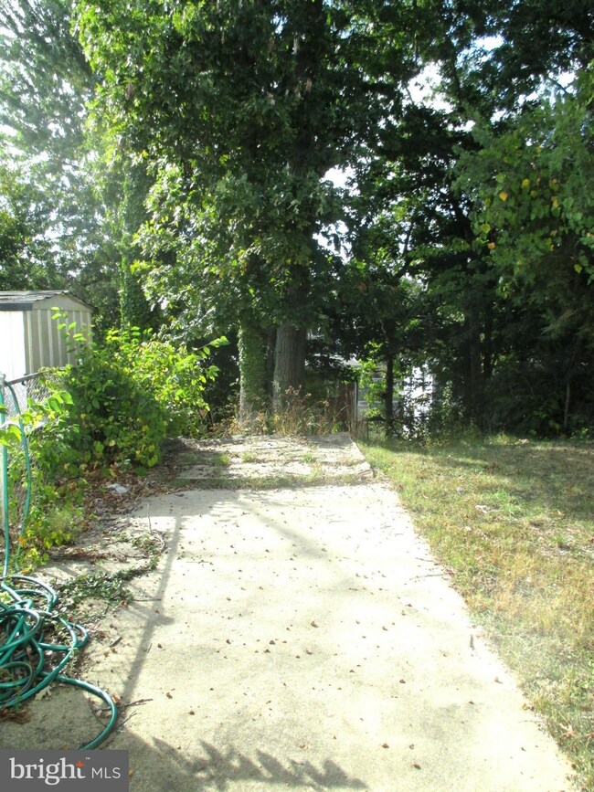 210 56th St NE, Washington, DC 20019 - photo 4