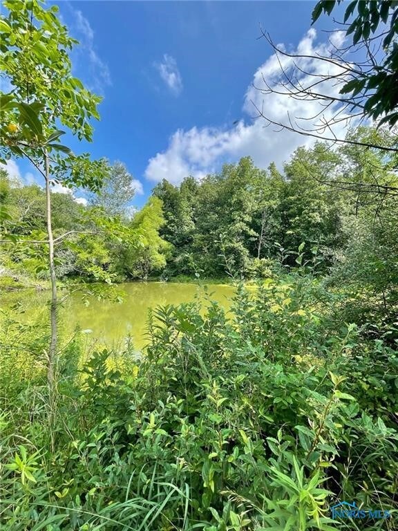 Large pond