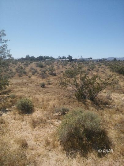 Land