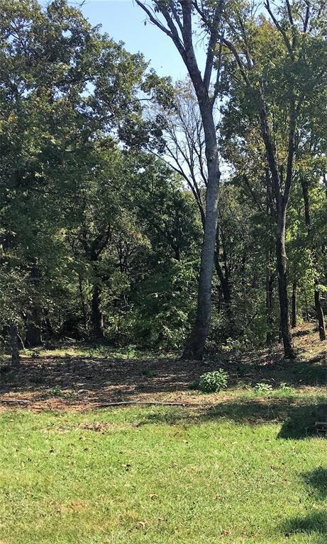 370 Dove Canyon Dr, Gordonville, TX 76245 - photo 3