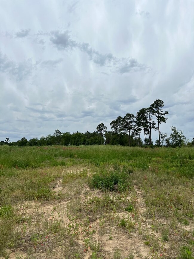 0 Eastman Paulk Rd, Ambrose, GA 31512 - photo 2