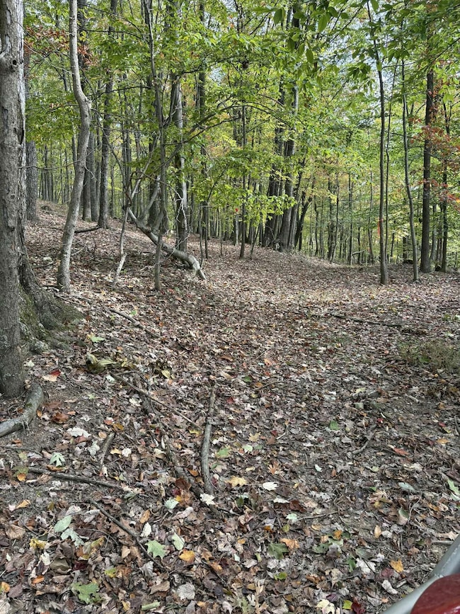 Pine Grove Ch Spur Rd, Vanceburg, KY 41179 - photo 2