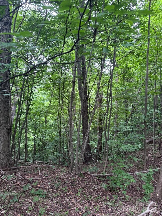 0 Holland Dr unit 18 CAR4146725, Columbus, NC 28722 - photo 6