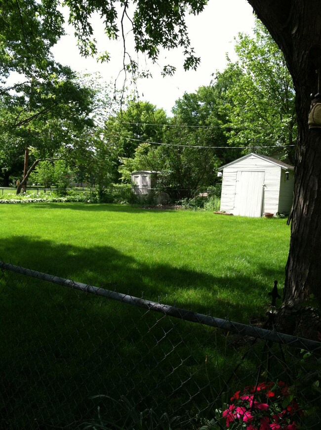 Back yard