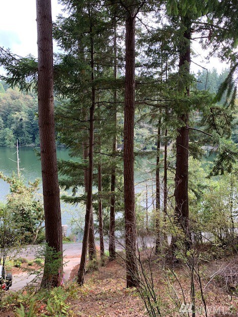 1693 Pebble Beach Trail, Bellingham, WA 98226 - photo 5