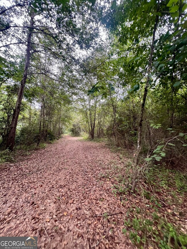 0 McCarty Dodd Rd unit 10646393, Colbert, GA 30628 - photo 4