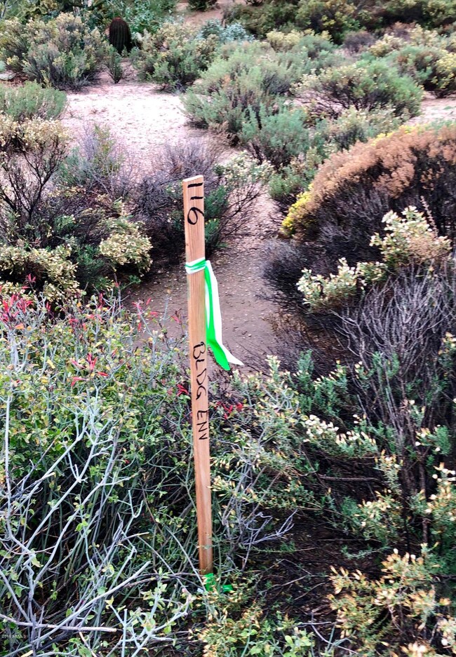 BUILDING ENVELOPE STAKED & FLAGGED