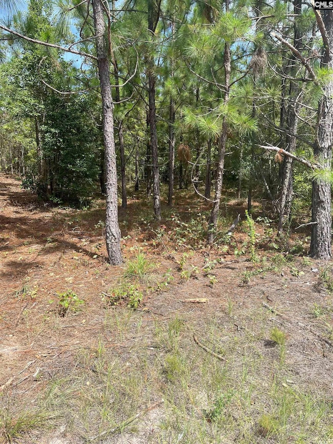 PPF 10 Payne Pond Rd unit PPF 10, Westville, SC 29175 - photo 4