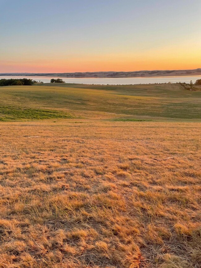 Lot View