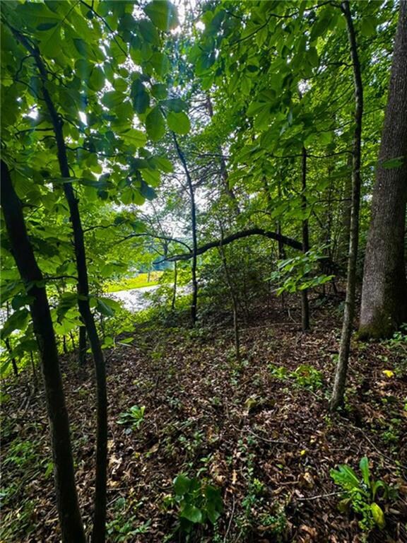 0 Camp Wahsega Rd unit 7600956, Dahlonega, GA 30533 - photo 7