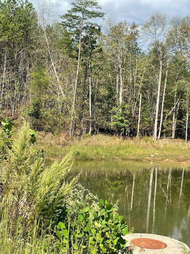 3685 Crockett Pointe, Jasper, TN 37347 - photo 4