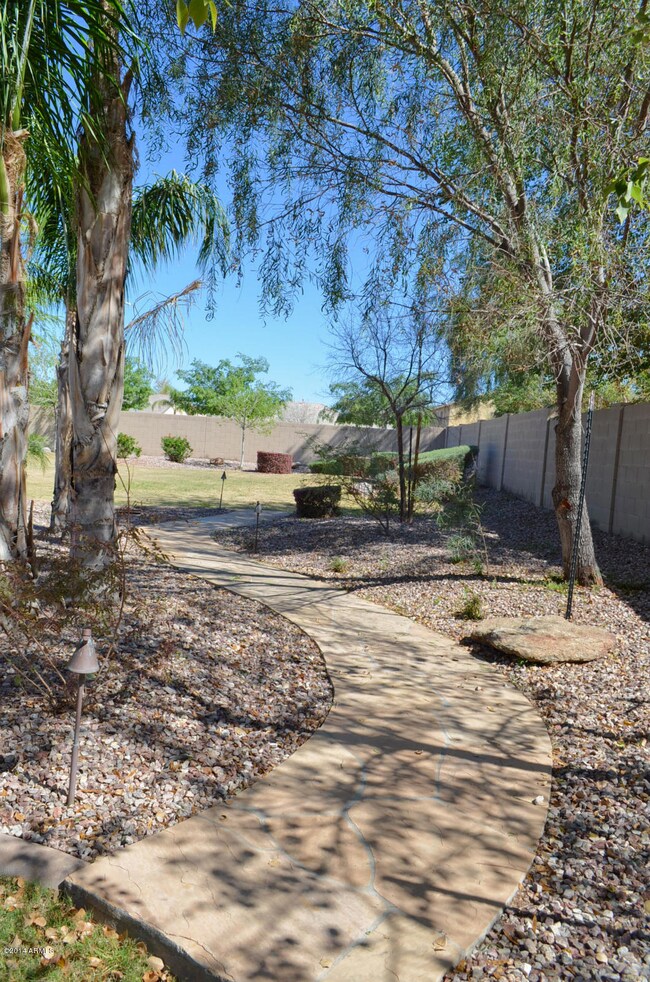 walkway_backyard2