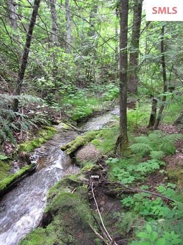 275 Hidden Spring Rd, Sandpoint, ID 83864 - photo 4