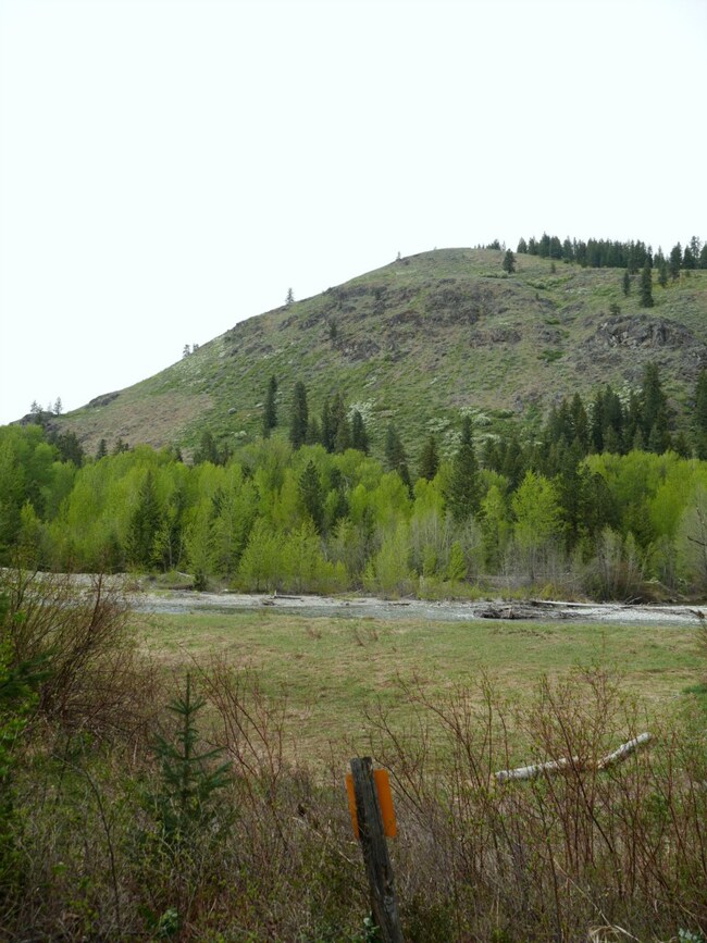 212 W Buttermilk Creek Rd, Twisp, WA 98856 - photo 7