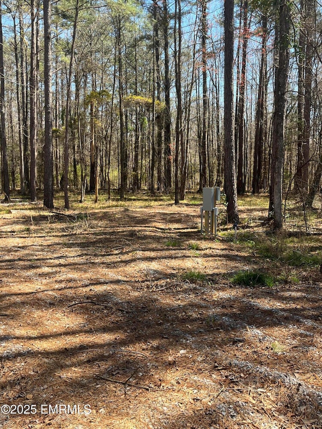 1204 L Ratliff Ferry Rd, Canton, MS 39046 - photo 3