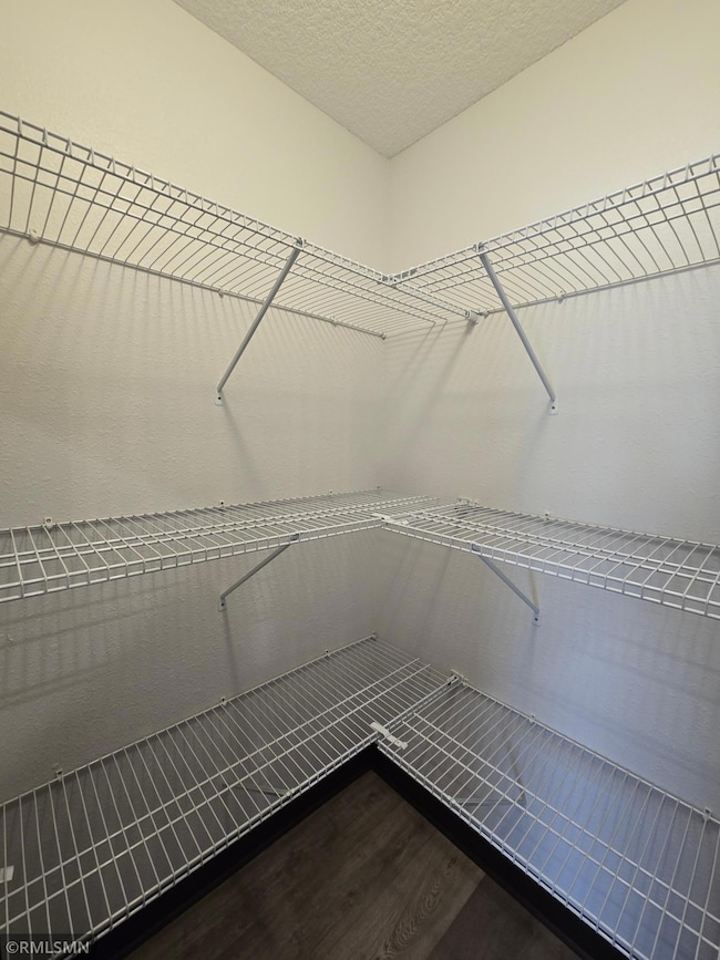 807 Pondview Dr, Arlington, MN 55307 - photo 6