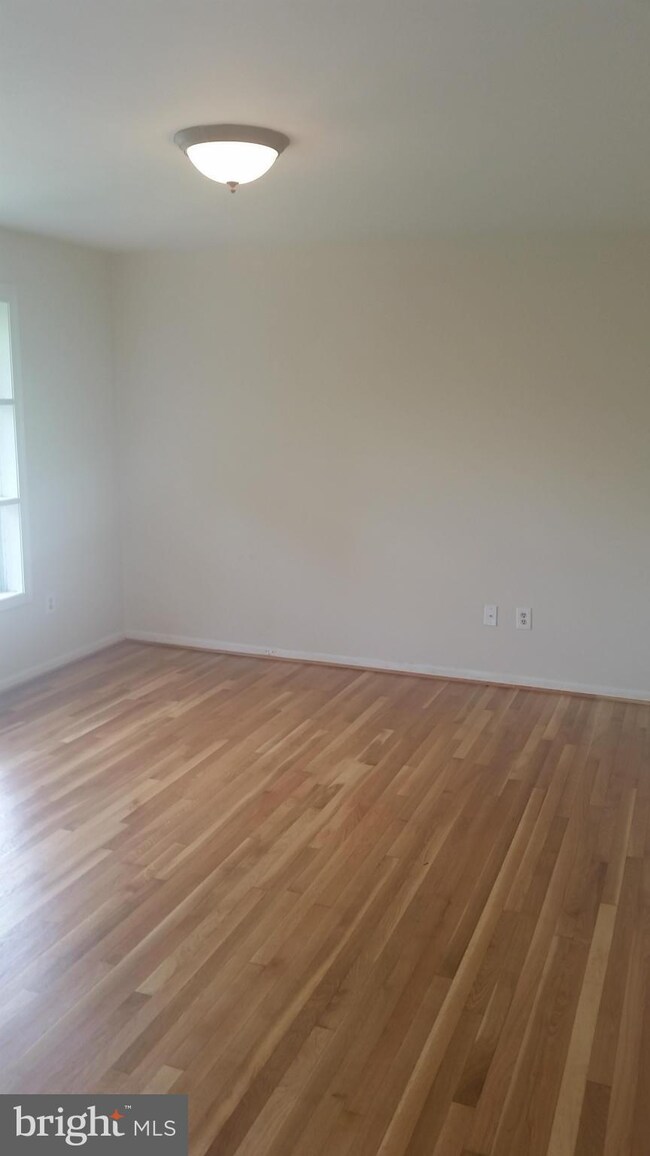 12729 Bexley Terrace, Silver Spring, MD 20904 - photo 4