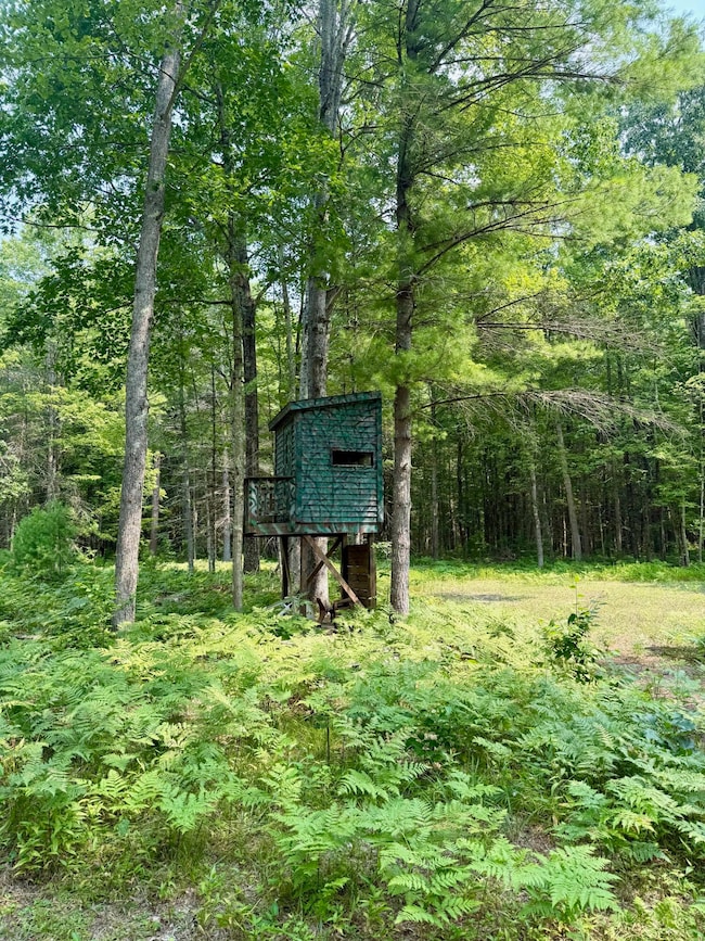 1 River Rd, Brethren, MI 49619 - photo 4