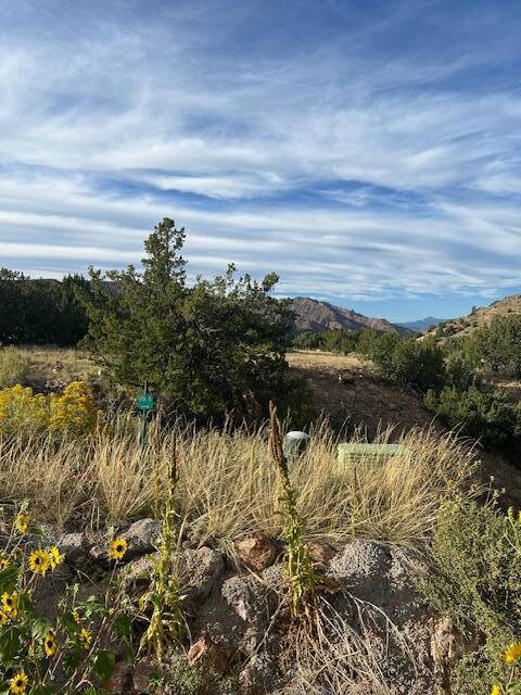 85 Eagle Crest Loop, Cañon City, CO 81212 - photo 5