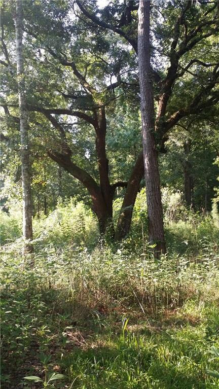 57256 Pace Rd, Slidell, LA 70461 - photo 4